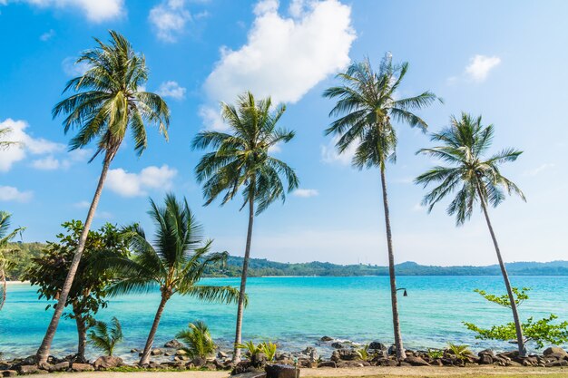 Кокосовая пальма на пляже и море