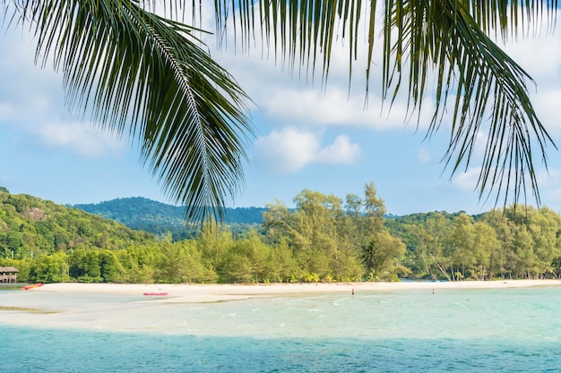 해변과 바다에 코코넛 야 자 나무