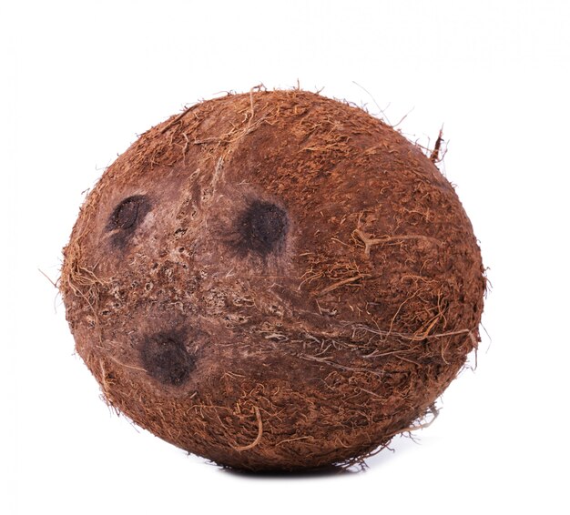 Coconut on the table