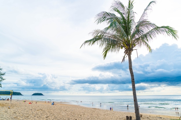 Albero di cocco con spiaggia tropicale