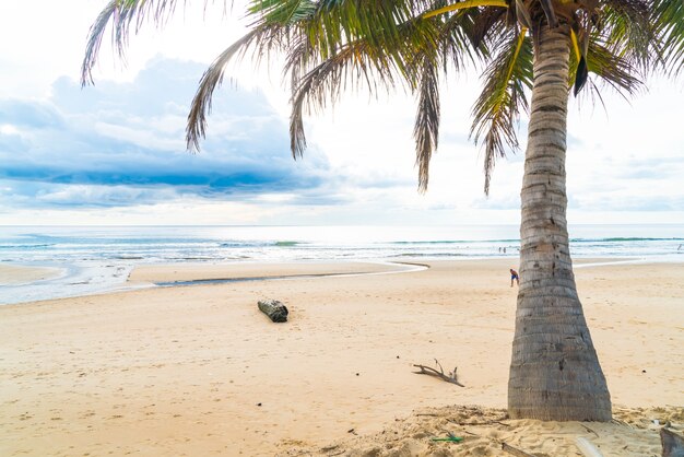 кокосовое дерево с тропическим пляжем