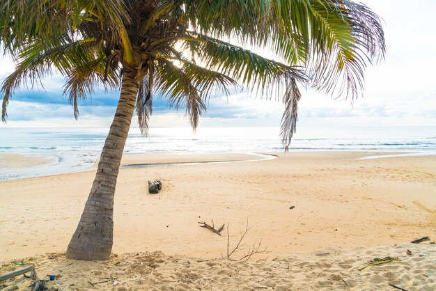 coconut tree with tropical beach