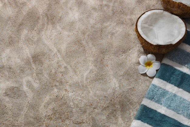 Coconut underwater still life