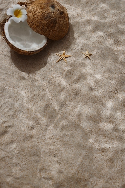 Coconut underwater still life