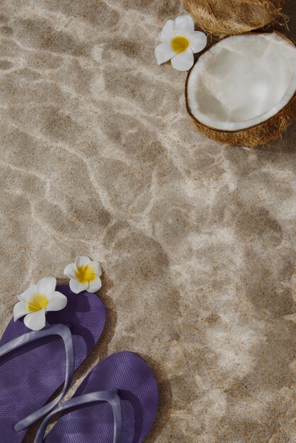 Coconut underwater still life