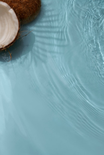 Coconut underwater still life