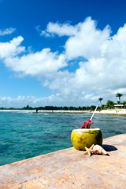 Coconut with drinking straw at the caribbean sea