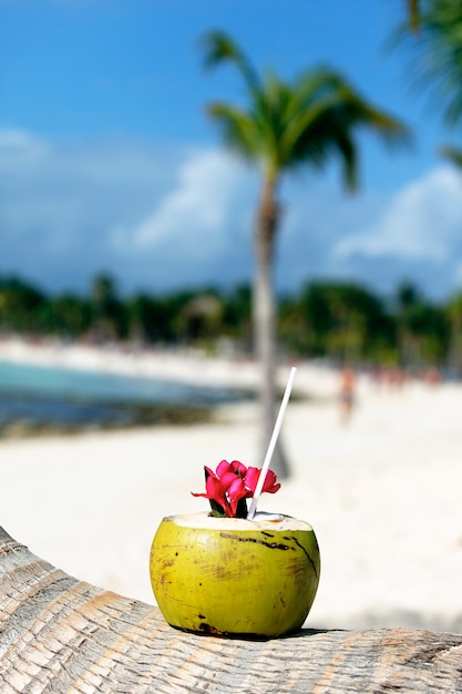 Кокосовый орех с соломинкой на пальме на пляже