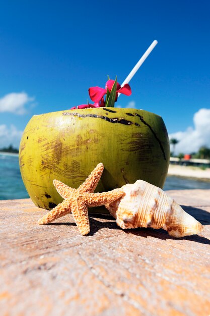 Coconut with drinking straw and sea shells