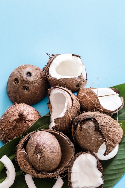 Coconut with tropical leaves on a blue background.