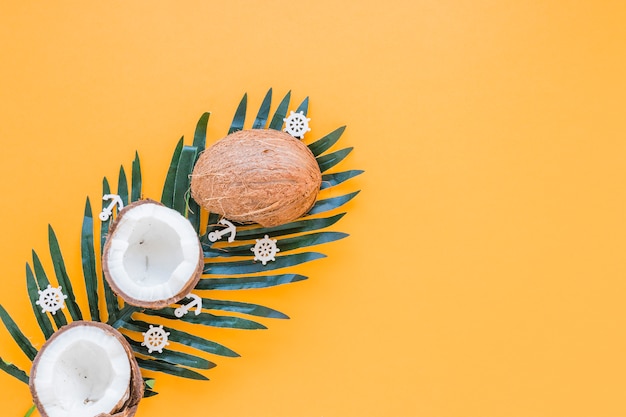 Coconuts on big green palm leaf