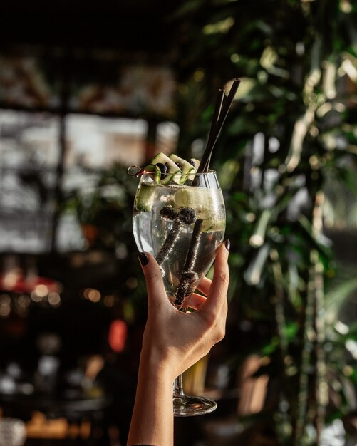 Coctail with slice of cucumber and blackberries