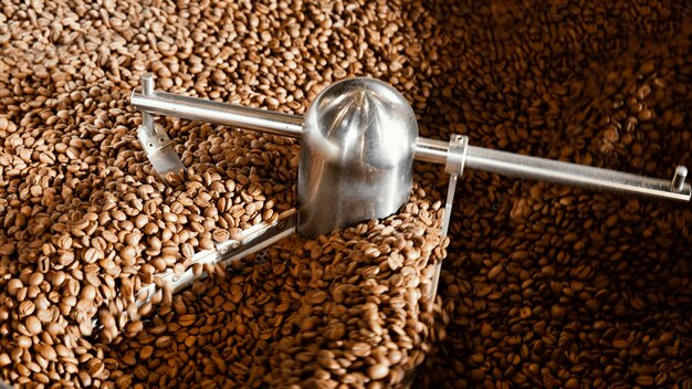 機械とコーヒー豆の配置