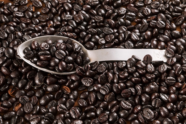 Coffee beans background