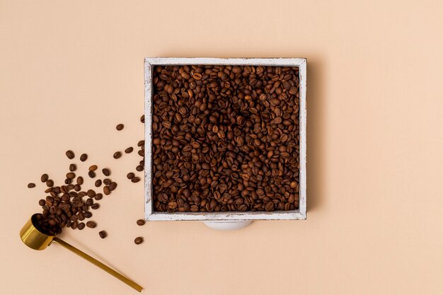 Coffee beans in a container