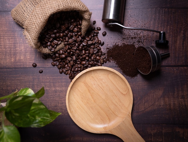 Coffee beans and ground powder
