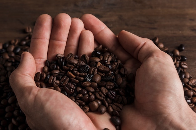 Coffee beans on hands
