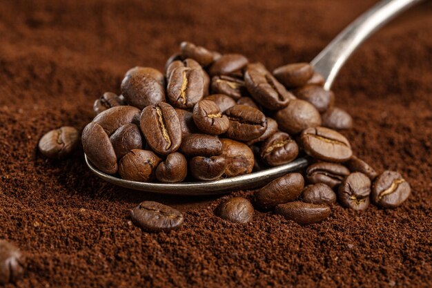 Coffee beans on spoon on ground coffee. Closeup.