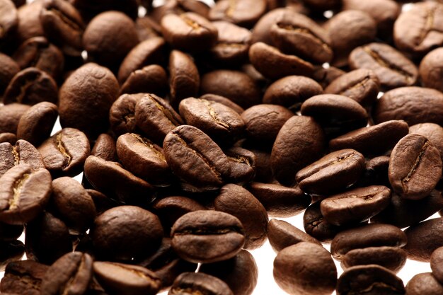 白い背景の上のコーヒー豆