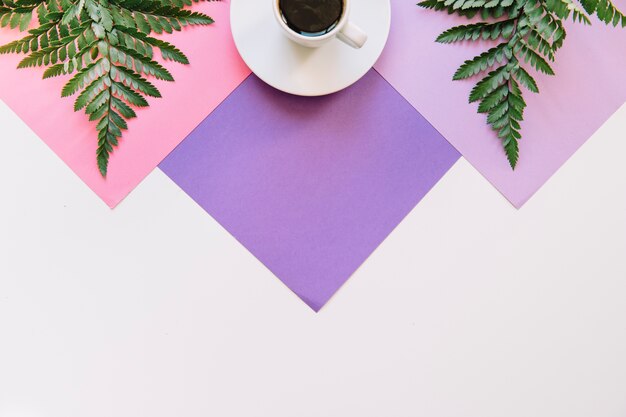 Coffee and exotic leaves on geometric background