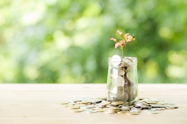 Free photo coin on wooden table