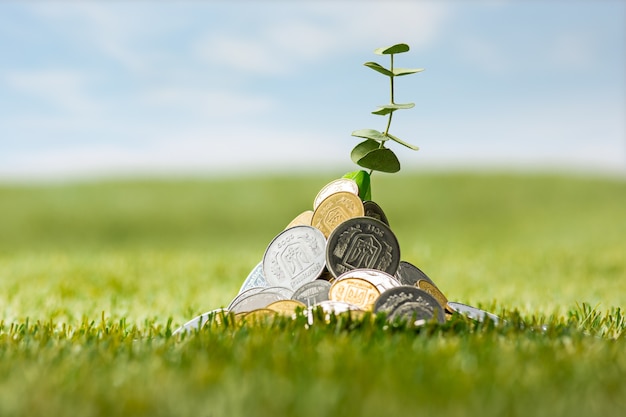 Coins on grass