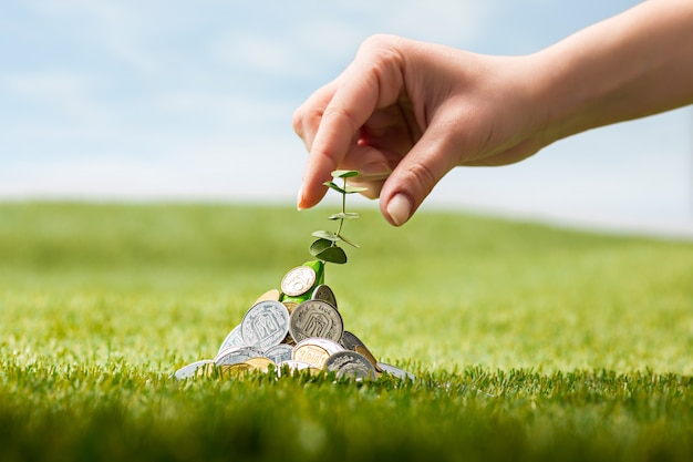 Coins on grass