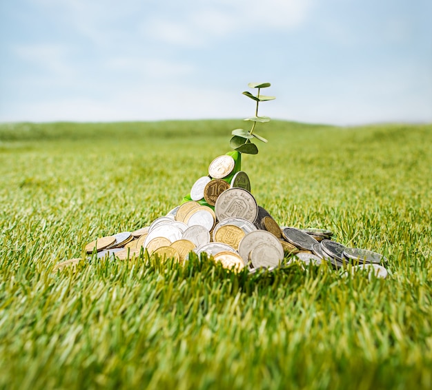 Free photo coins on grass