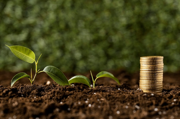 Coins stacked on dirt with plants