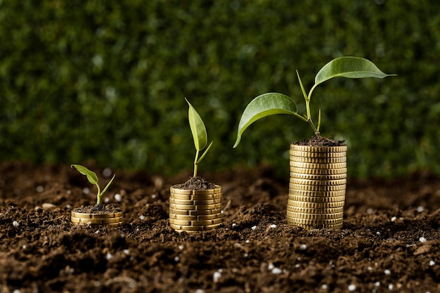 Coins stacked on dirt with plants