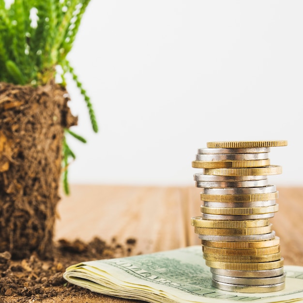 Coins with plant on table