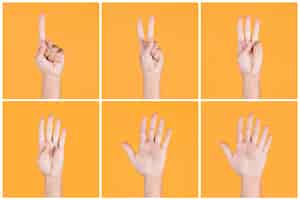 Free photo collage of one to five fingers count signs over yellow backdrop