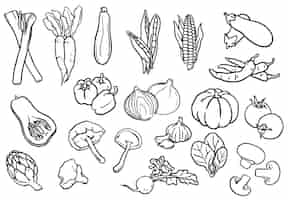 Free photo collection of black and white vegetables