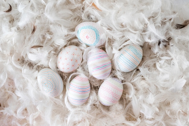 Collection of chicken eggs between heap of quills