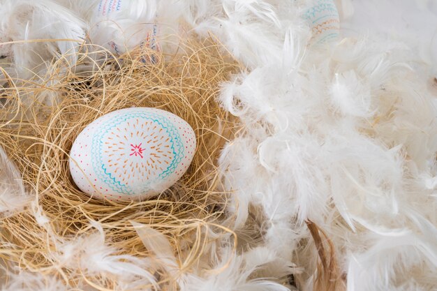 Free photo collection of easter eggs on hay between heap of feathers