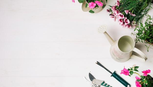 collection of flowers and watering pot