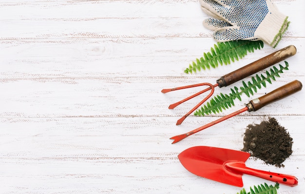 Collection of gardening tools on wood