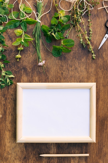 Collection of green plant twigs near scissors and photo frame