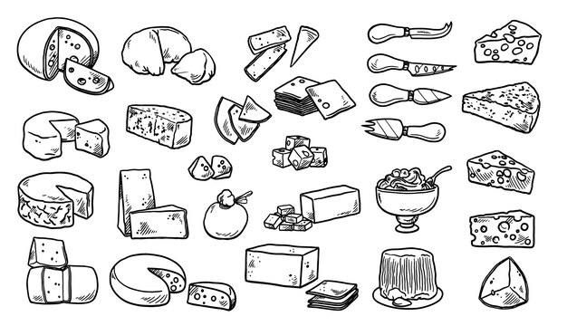 チーズのコレクション手描き要素