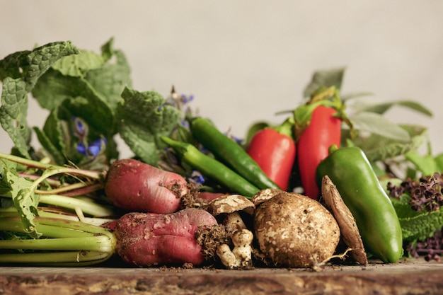 Collection of homegrown vegetables and flowers after harvest fro