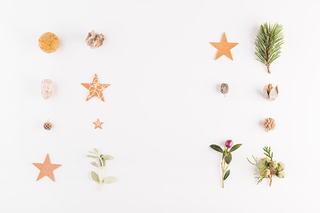 Collection of plants and decorations