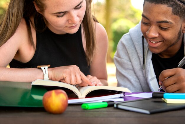 College students cramming outdoor