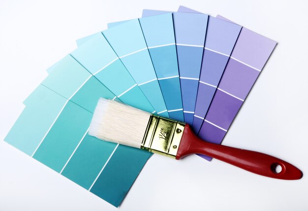 color palette catalogue or scheme brush