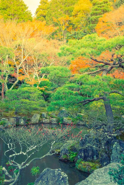 カラーストーン水平の風景の草