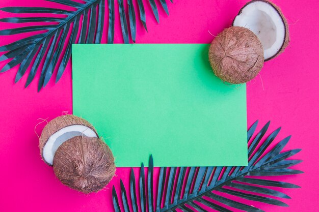 Colored composition with coconuts and blank paper