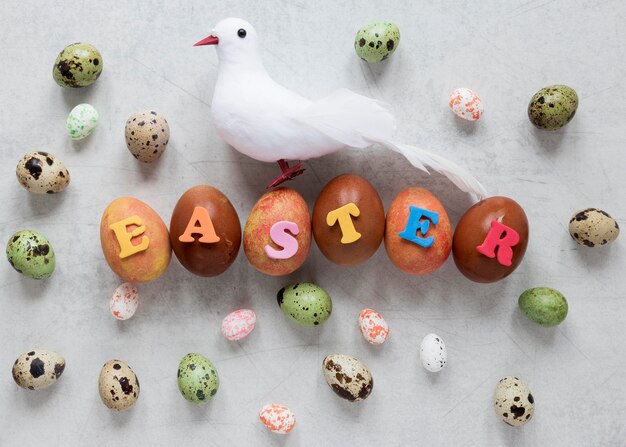 Colored easter eggs and decorative dove