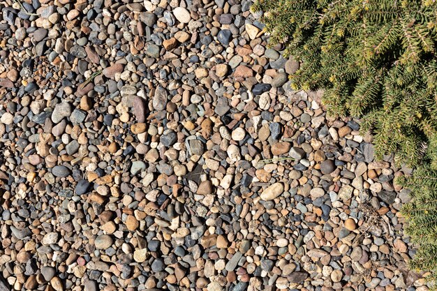 Colored pebbles on a sunny day. background