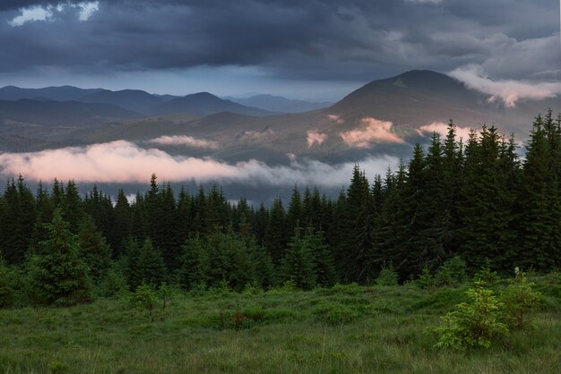 Colored sunrise in forested mountain slope with fog. Misty Carpathian landscape