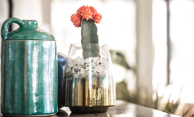 Colored vases and cactus in the interior of the cafe. East style. Comfort and Style