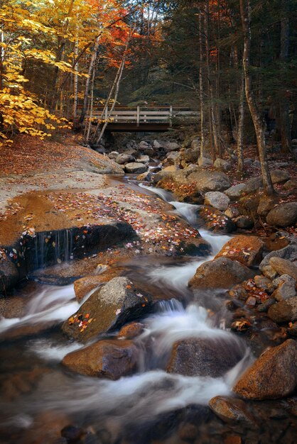 Colorful Autumn creek bridge, White Mountain, New Hampshire.